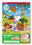 郵便局頒布会カタログ
