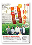 特桑茶 チラシ